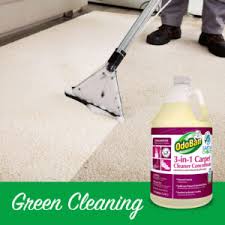 green cleaning tips odoban