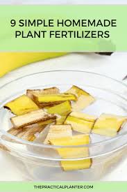 9 simple homemade plant fertilizers