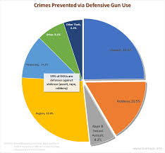 Gun Facts Infographics Concerning Gun Control