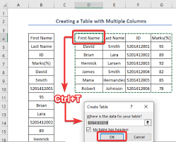 a table in excel with multiple columns