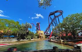 avoid the busch gardens wait times with