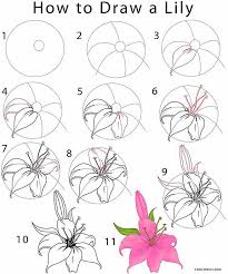 how to draw flowers and turn these