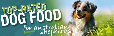 Best Dog Food For Australian Shepherds Puppies Adult