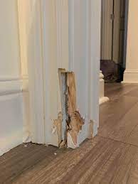 How to repair this door frame? Dog chewed this up. Wondering if there is a  fix besides replacing the door frame. : r/howto