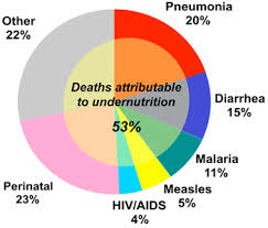 Image result for undernutrition