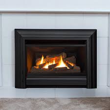 Fireplace Inserts Gas Fireplace