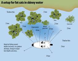 Spring Cats Are A Shallow Water Phenomena On The Santee
