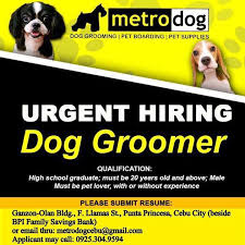 Compare dog boarding services near you for the best dog boarding prices. Ilmu Pengetahuan 8 Dog Groomers Near Me Hiring
