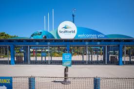 seaworld gets zoo designation to reopen