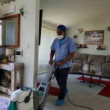 carpet cleaners in peoria il