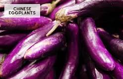Does Japanese eggplant taste like eggplant?