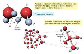 Resultado de imagen de Moléculas inorgánicas