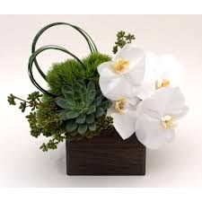 a luxury fl gift with orchid flower