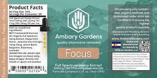focus ambary gardens