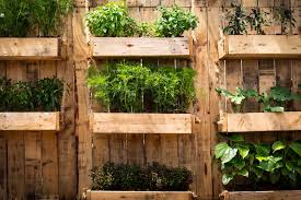 vertical garden ideas for small spaces
