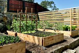Raised Garden Beds Build Your Own