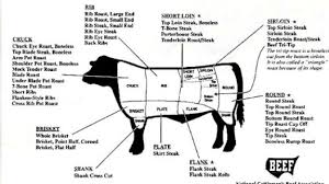 Beef Diagram Post Get Rid Of Wiring Diagram Problem