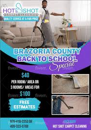 cleaning flyer by zsions