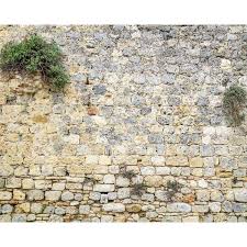 Brewster Stone Wall Mural Wr50522 The