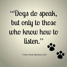 Image result for dogs have a way of finding quote