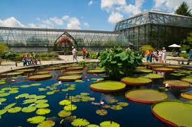 Longwood Gardens Revive Center For