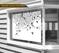Buy Window Decals For Birds And Save Up