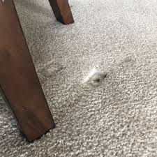 remove furniture dents from my carpets
