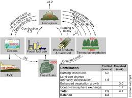 global carbon cycle an overview