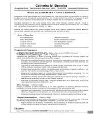 Executive Summary Example Resume     Executive Summary Sample     Writing Resume Sample