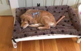 dog bed size kuranda dog beds