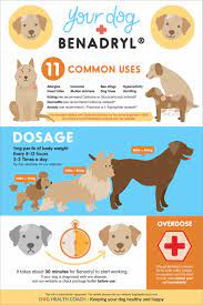 benadryl dosage for dogs does benadryl