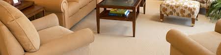 carpets area rugs cleaning toronto