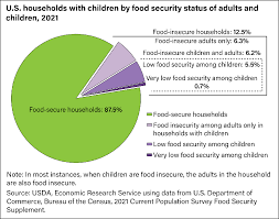 food accessibility insecurity and