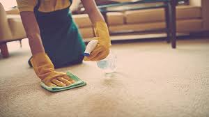 How to Start a Carpet and Upholstery Cleaning Business