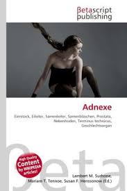 7 фраз в 4 тематиках. Adnexe Shop Deutscher Apotheker Verlag