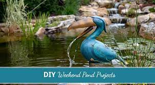 Diy Pond Projects Webb S Water Gardens