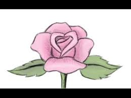 The first step to draw lotus flowers is to begin with a teardrop, as shown in the picture. How To Draw A Beautiful Rose Flower Yzarts Yzarts Youtube