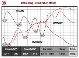 A Simple Guide To Periodization For Strength Training