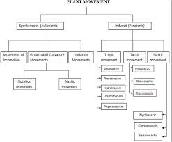 Plant Movement Biology4isc