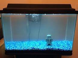 how to fix cloudy fish tank easiest