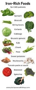 iron rich foods for ckd patients
