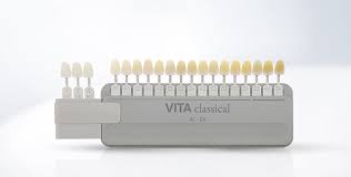 Vita Classical A1 D4 Shade Guide With Vita Bleached Shades