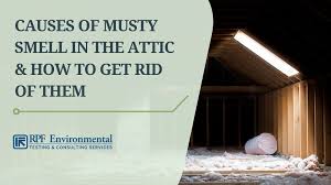 5 causes of musty smell in the attic