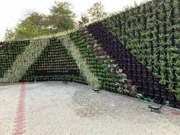 Black Plastic Vertical Garden Green Wall