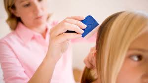 should head lice keep kids out of