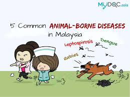 Documents similar to common infectious diseases in malaysia.2. Infographic 5 Common Animal Borne Diseases In Malaysia And How To Avoid Them Erufu Care
