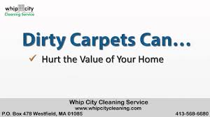 whip city cleaning service carpets