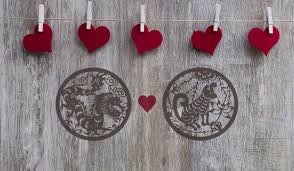 There are 12 zodiac signs that are represented by one element the following compatibility chart will help you understand the compatibility of chinese zodiac signs. Dragon And Dog Love Compatibility A Sincere Relationship