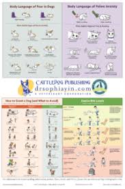 Free Downloads Posters Handouts And More Dr Sophia Yin