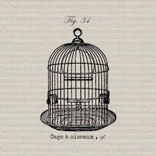 Birdcage Bird Cage French Script French